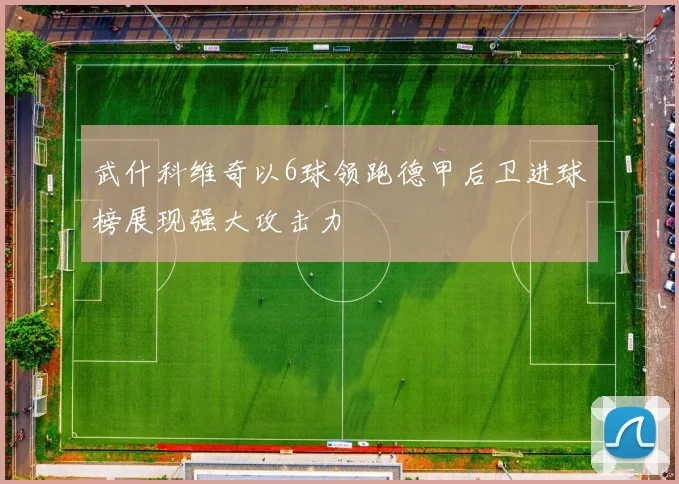 武什科维奇以6球领跑德甲后卫进球榜展现强大攻击力