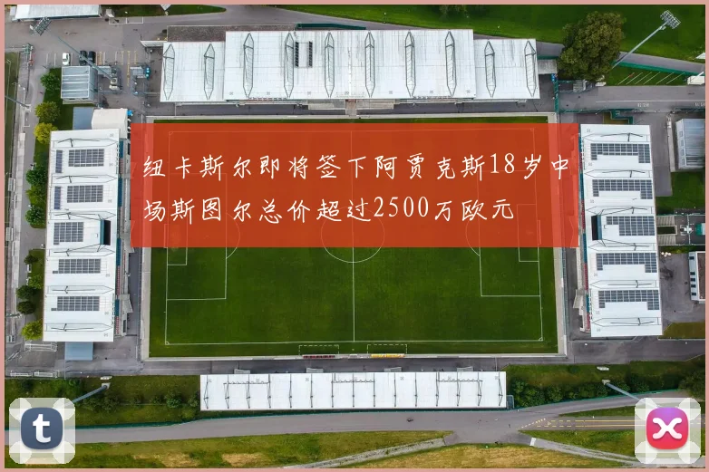 纽卡斯尔即将签下阿贾克斯18岁中场斯图尔总价超过2500万欧元